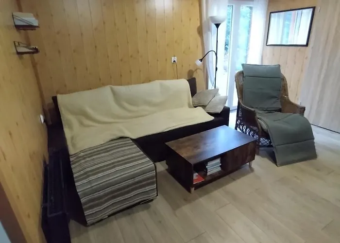 Holiday home Sosnowy Zakatek, Laskowo